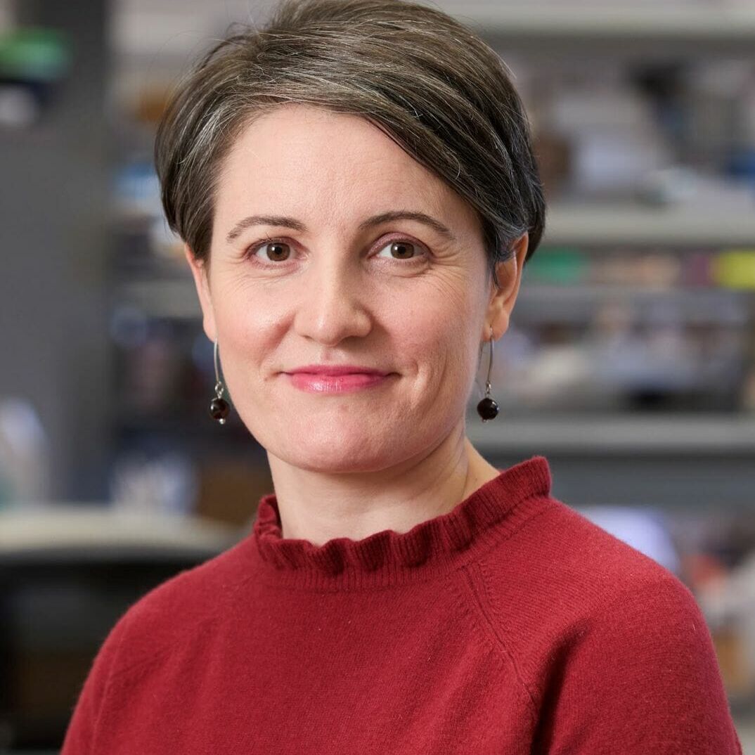Stefania Nicoli